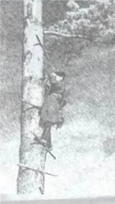 Знание-сила, 2005 № 05 (935) - _4.jpg