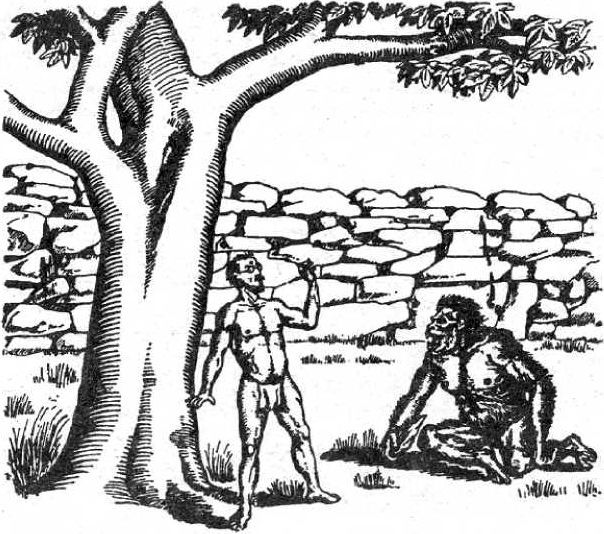 Век гигантов - i_007.jpg