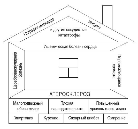 Полный курс медицинской грамотности - i_003.jpg