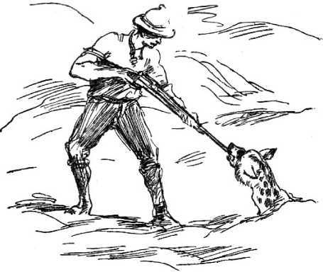 За чудесным зерном - i_014.jpg