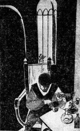 За чудесным зерном - i_027.jpg