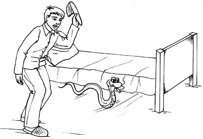 Сердце и сосуды. Большая энциклопедия здоровья - _394.png