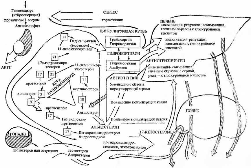 Действие природных факторов на человека - i_001.jpg