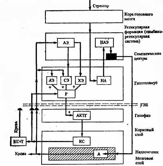 Действие природных факторов на человека - i_003.jpg