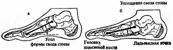 Действие природных факторов на человека - i_010.jpg