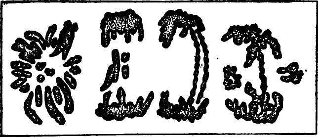 У истоков человечества - i_021.png