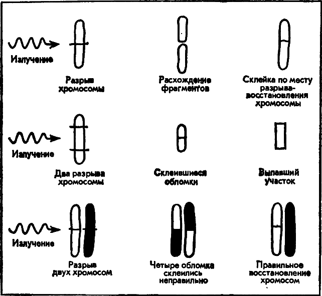 У истоков человечества - i_022.png