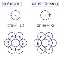 Мир вокруг нас - _10_spin.jpg