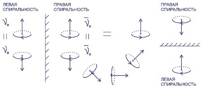 Мир вокруг нас - _106_neutrino_helicity.jpg