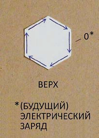 Мир вокруг нас - _206.jpg