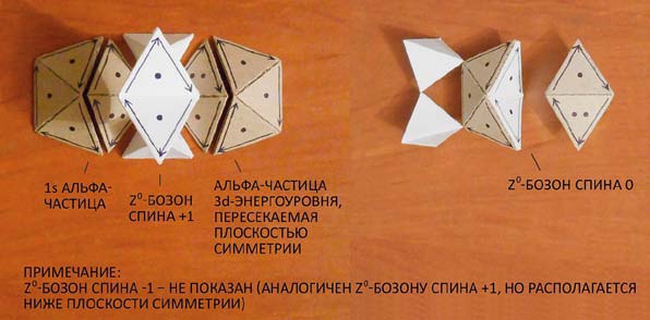 Мир вокруг нас - _242_weak_z0_boson.jpg