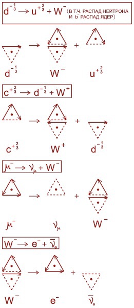 Мир вокруг нас - _245_weak_interaction_reaction.jpg