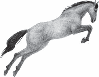 Гусиная пастушка - _009.png