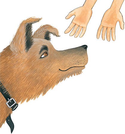 Чук и Гек. Рассказы - i_046.png