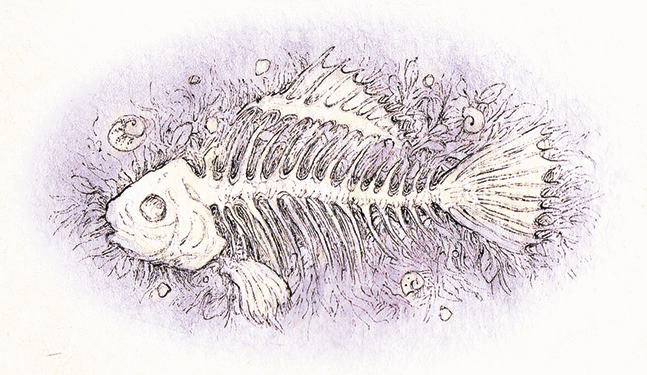 Премудрый пискарь (сборник) - i_014.png