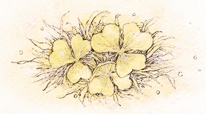 Премудрый пискарь (сборник) - i_044.png