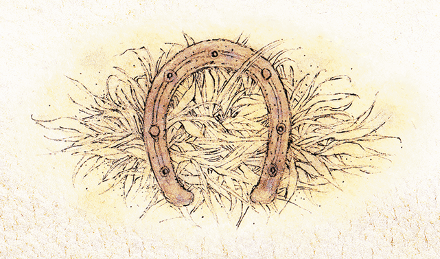 Премудрый пискарь (сборник) - i_046.png