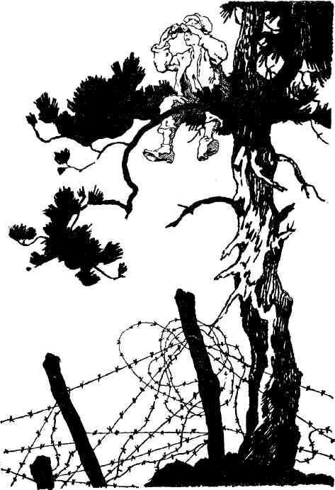 Сить — таинственная река - img_17.jpeg