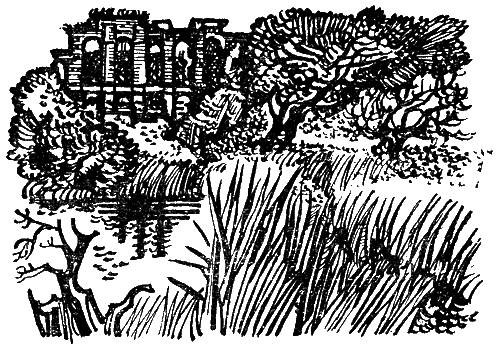 На графских развалинах - _2.png