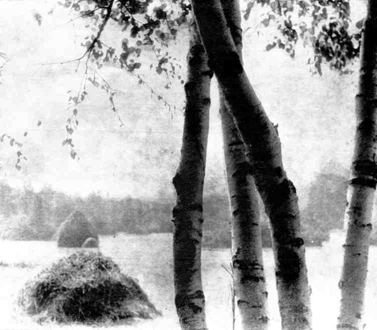 Как просыпается Солнце - img_15.jpeg