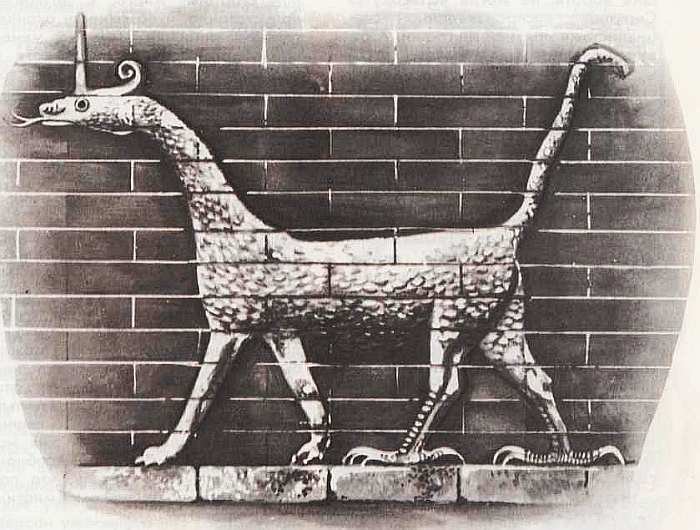 Соседи по планете Земноводные и пресмыкающиеся - i_069.jpg