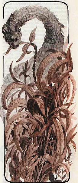 Соседи по планете Земноводные и пресмыкающиеся - i_070.jpg