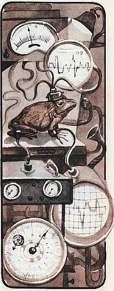 Соседи по планете Земноводные и пресмыкающиеся - i_077.jpg