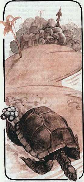 Соседи по планете Земноводные и пресмыкающиеся - i_092.jpg