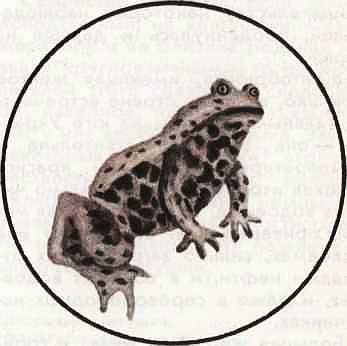 Соседи по планете Земноводные и пресмыкающиеся - i_107.jpg