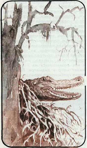 Соседи по планете Земноводные и пресмыкающиеся - i_139.jpg