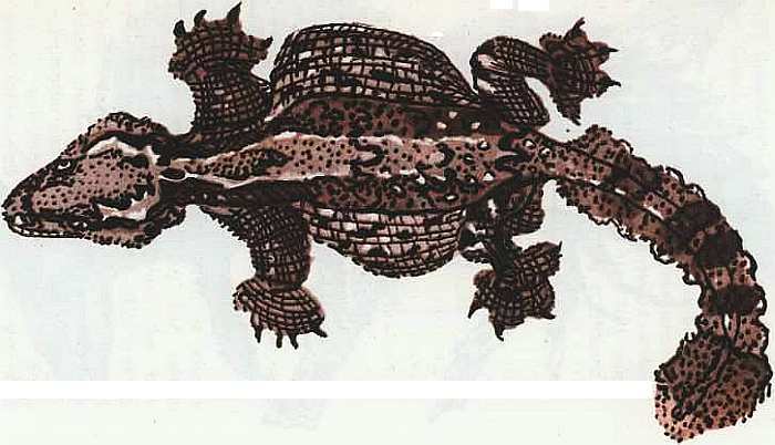 Соседи по планете Земноводные и пресмыкающиеся - i_146.jpg