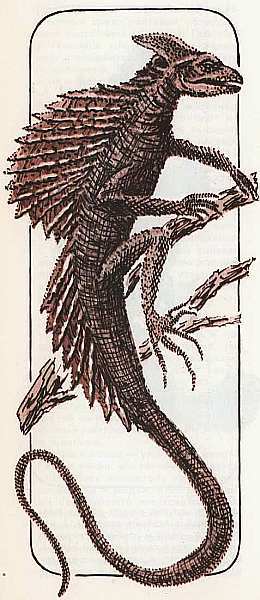 Соседи по планете Земноводные и пресмыкающиеся - i_147.jpg