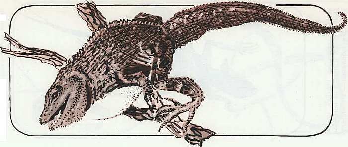 Соседи по планете Земноводные и пресмыкающиеся - i_149.jpg