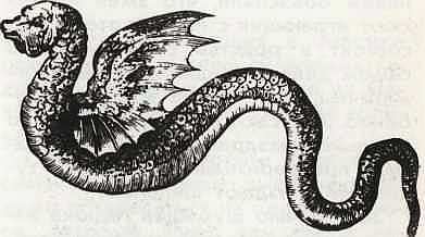 Соседи по планете Земноводные и пресмыкающиеся - i_159.jpg