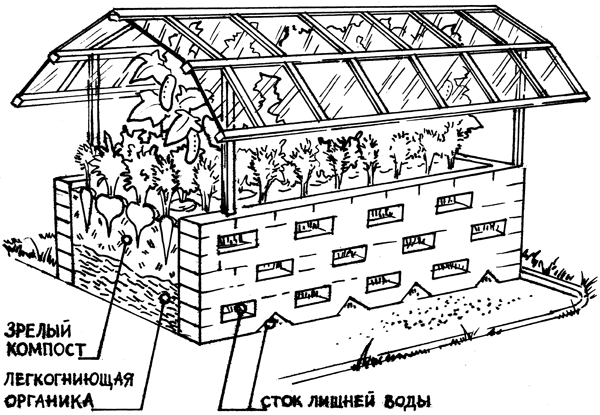 Огородные секреты большого урожая на ваших грядках - i_014.png