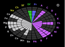 Эта невероятная хумусовая диета (СИ) - img_15.png