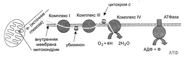 Энергия, секс, самоубийство - i_008.jpg