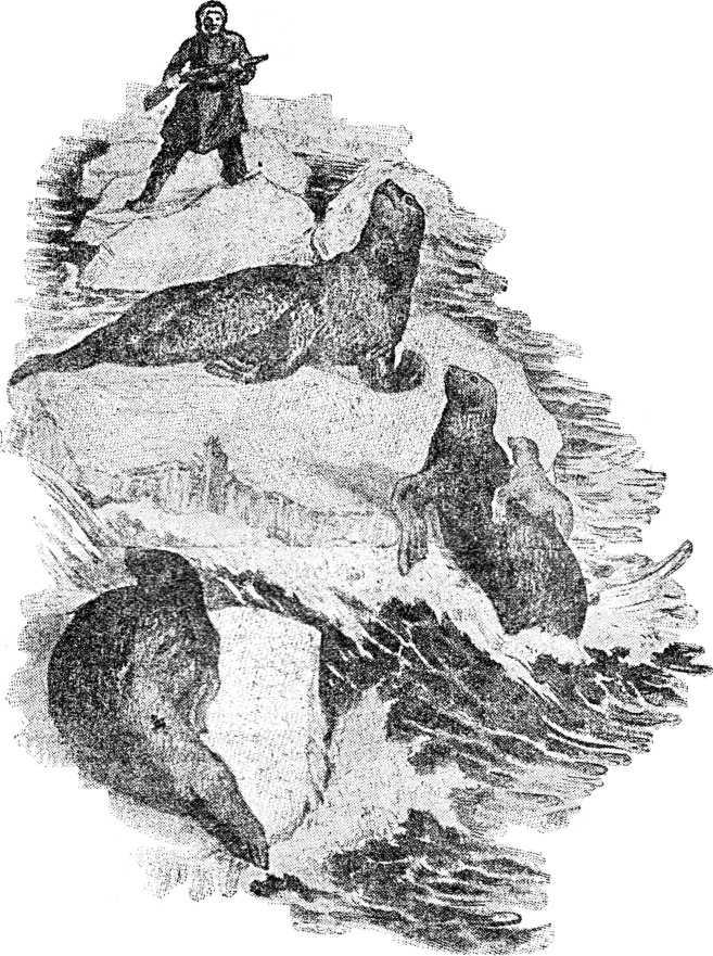 Подарок океана - _1.jpg_0