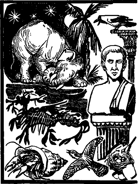 Необыкновенный охотник (Брем) - i_012.png