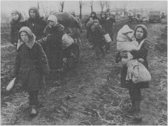 Великая Отечественная война глазами ребенка - i_003.jpg_0