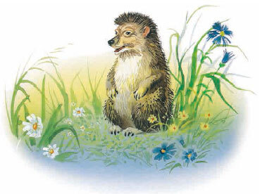 Филипок (сборник) - i_039.jpg