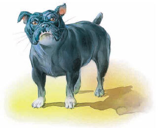 Филипок (сборник) - i_051.jpg