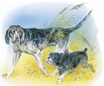 Филипок (сборник) - i_052.jpg