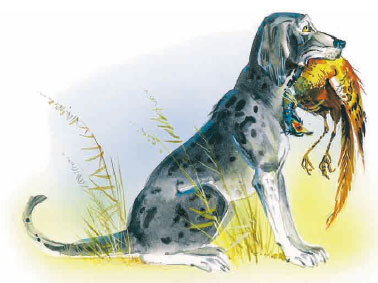 Филипок (сборник) - i_053.jpg