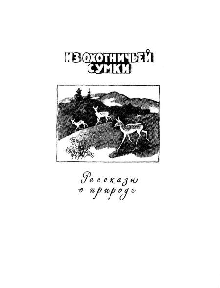 Его большой день - i_015.jpg