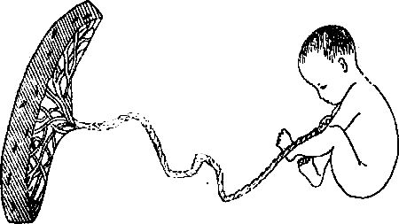 Что надо знать до брака и в браке - i_005.png