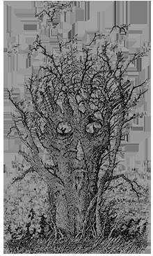 Страх «Страшный» рассказ - _1.jpg