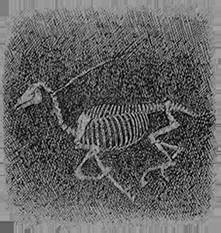 Страх «Страшный» рассказ - _7.jpg