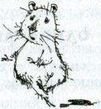 Фредди. Жизнь, полная риска - i_020.jpg