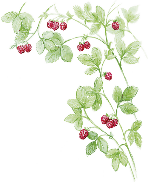 Людмилка и Тим в сказочном саду - i_048.png